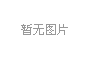 程力集团总经理程阿罗出席湖北民营企业100强发布会